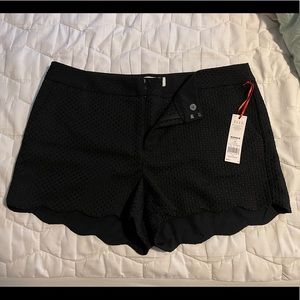 Elle Scalloped Shorts - 14